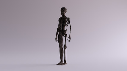 Black Iron Ecorche Half Skeletal System Half Muscle System Anatomical Model 3 Quarter Front Left View 3d illustration 3d render