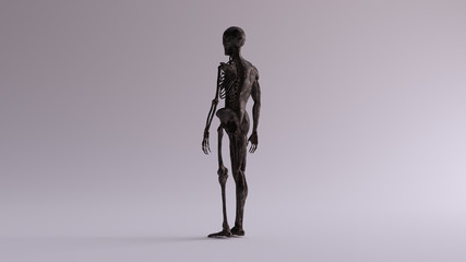 Black Iron Ecorche Half Skeletal System Half Muscle System Anatomical Model 3 Quarter Rear left View 3d illustration 3d render