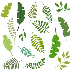 Set of different green leaves silhouettes isolated on white background. Vector floral, botanical and foliage illustration