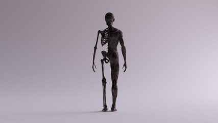 Black Iron Ecorche Half Skeletal System Half Muscle System Anatomical Model Back View 3d illustration 3d render