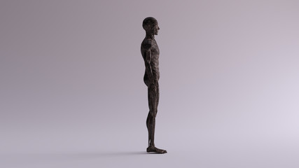 Black Iron Ecorche Half Skeletal System Half Muscle System Anatomical Model Right View 3d illustration 3d render