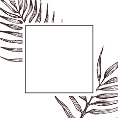 Frame with palms leaves. Hand drawn illustration.