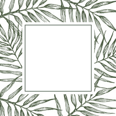 Frame with palms leaves. Hand drawn illustration.