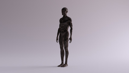Black Iron Ecorche Muscle and Skeletal System Anatomical Model 3 Quarter Front Left View