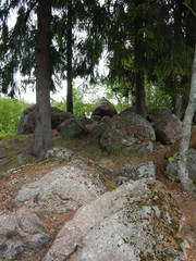 Summer landscape with a forest and large beautiful stones
