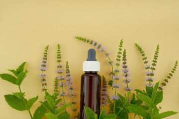 peppermint essential oil.  brown glass bottle with mint oil, fresh blooming sprigs of mint on a light yellow background.copy space.Organic Bio Essential Oils