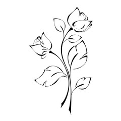 two stylized twigs with rose buds and leaves in black lines on a white background