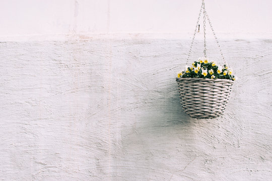 Wicker Pot With Yellow Flower.