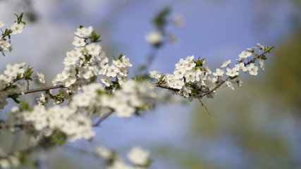 Obraz premium architecture