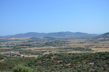 Fototapeta na wymiar A detail of Landscape of Sardinia 