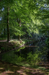 Ditch with trees. Havixhorst Netherlands