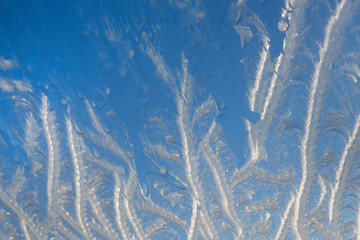 Frostflowers at window. Frozen. Ice. Winter