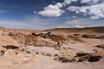 landscape of the desert