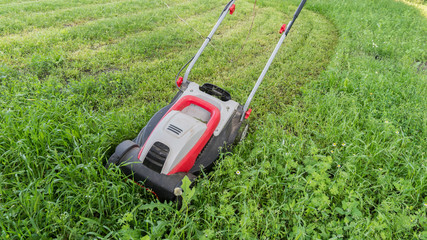 Fototapeta premium lawn mower on freshly cut grass