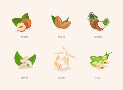 Different variation of plant based milk. Nuts set: hazelnut, coconut, almond, soy bean, oat, cashew.