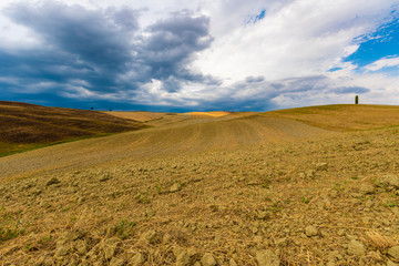 Fototapeta premium Tuscany landscape