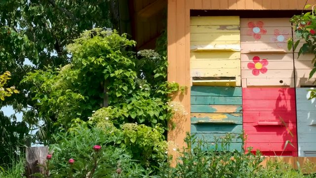 Colourful, decorated, painted panels on wooden bee house, Apiary. Large swarm, gathering of bees flying around boxes in countryside wilderness scenic view.