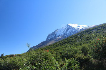 Fototapeta premium landscape