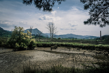 Marshlands and swamps in the Urdaibai Biosphere Reserve in the Basque Country