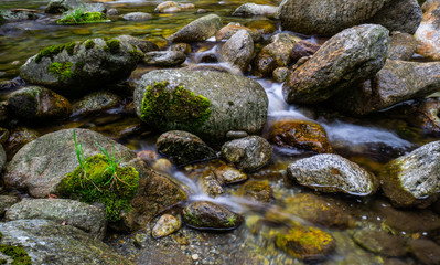 Pyrenees in the spring 
