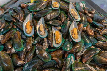 Green Mussels