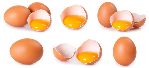 Collection of raw eggs on white background