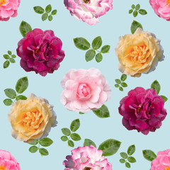 Seamless pattern with different flowers of roses on blue  background.