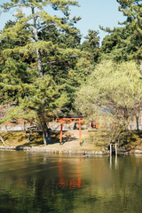 Fototapeta na wymiar red torii at river