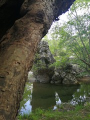 waterfall in the forest