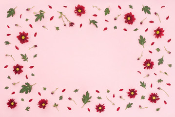 Floral pattern made of red chrysanthemum, green leaves on pink background. Flat lay, top view. Valentines background. Pattern of flowers. Flowers pattern texture. Summer concept. Add your text.