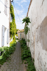 Fototapeta na wymiar authentic little cobblestone street in Charentes maritime ile de Re Island in France