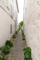 Fototapeta na wymiar authentic little cobblestone alley street in Saint Martin de Re France