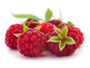 Ripe red raspberries.