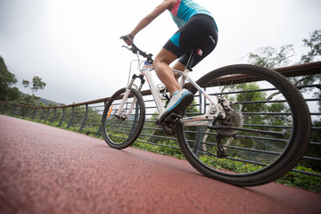 Woman cyclist riding mountain bike on forest trail