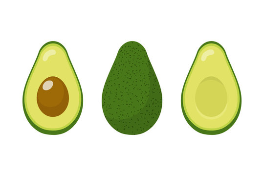 Set of fresh whole and half avocado isolated on white background. Organic food. Cartoon style. Vector illustration for design.