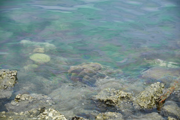 The layer of Leaked gasoline from the boat create a rainbow above coral reef with the ocean background