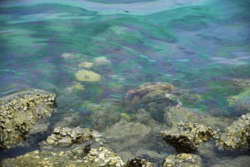 The layer of Leaked gasoline from the boat create a rainbow above coral reef with the ocean background