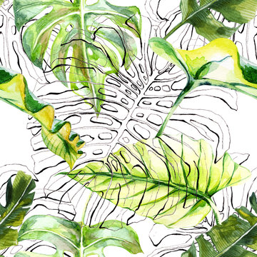 hand drawn illustrations in ink monstera contour, watercolor green leaves tropical on white seamless background for use in design, pattern for fabrics, textiles, Wallpaper, paper