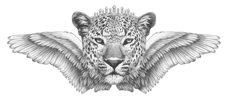 Portrait of Leopard with wings. Hand-drawn illustration. 