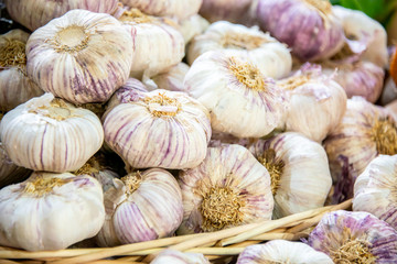 Garlic at the market display stall