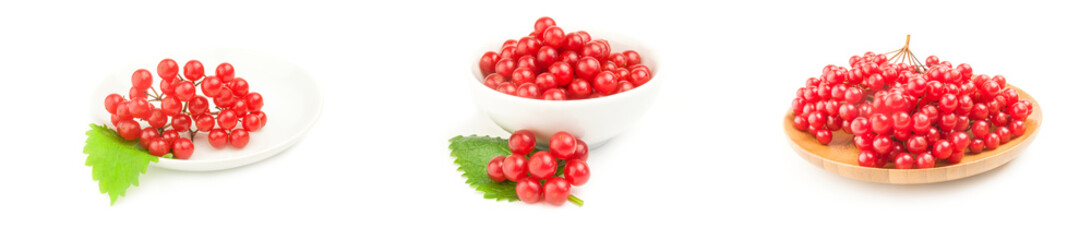 Group of red guelder rose berries over a white background