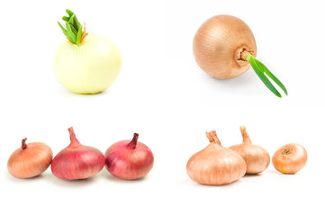 Set of Bulb of onion isolated on a white background with clipping path