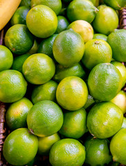 Citrus fruits at the market display stall