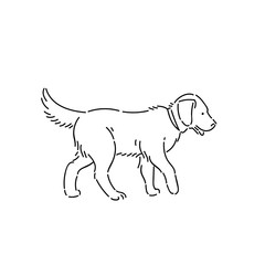 Large pedigree dog labrador retriever. Line art style character vector black white isolated illustration.
