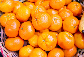Citrus fruits at the market display stall