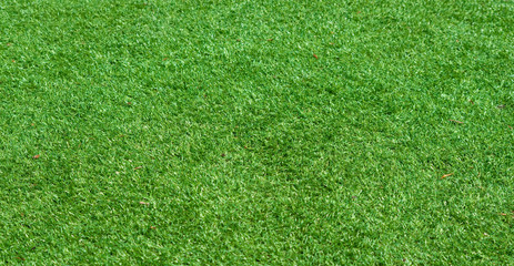Plastic grass field