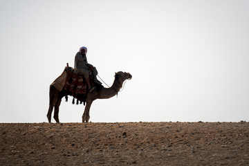 camel ride in the desert Cairo Egypt
