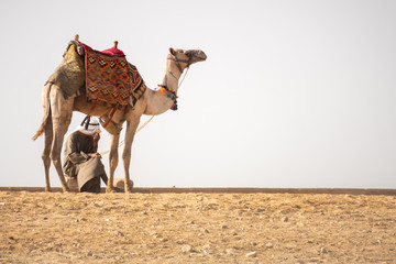 camel ride in the desert Cairo Egypt