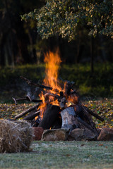 Campsite bonfire