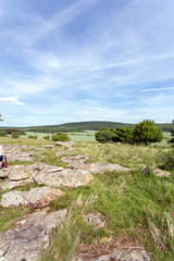 Stone fields near Kovagoors